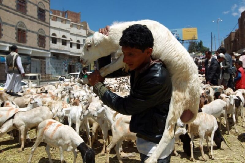 Why_only_Muslims_are_called_terrorists_6_Animal_Lovers
